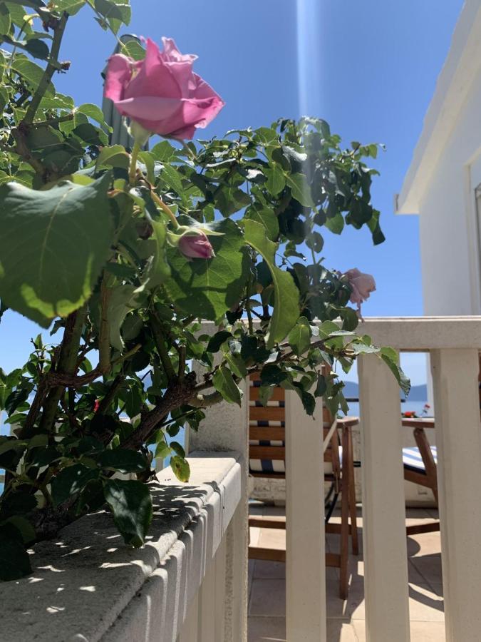 Villa Orca Podaca Eksteriør bilde