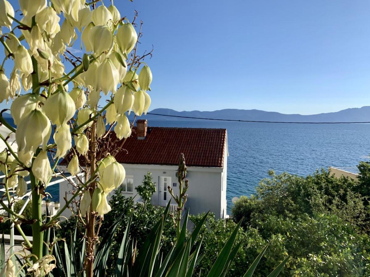 Villa Orca Podaca Eksteriør bilde
